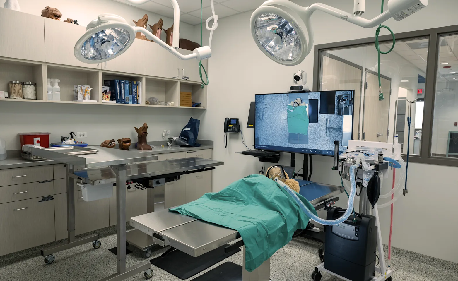 A dog laying on its back with veterinarian team performing an ultrasound on its stomach. A dog laying on its back with veterinarian team performing an ultrasound on its stomach.
