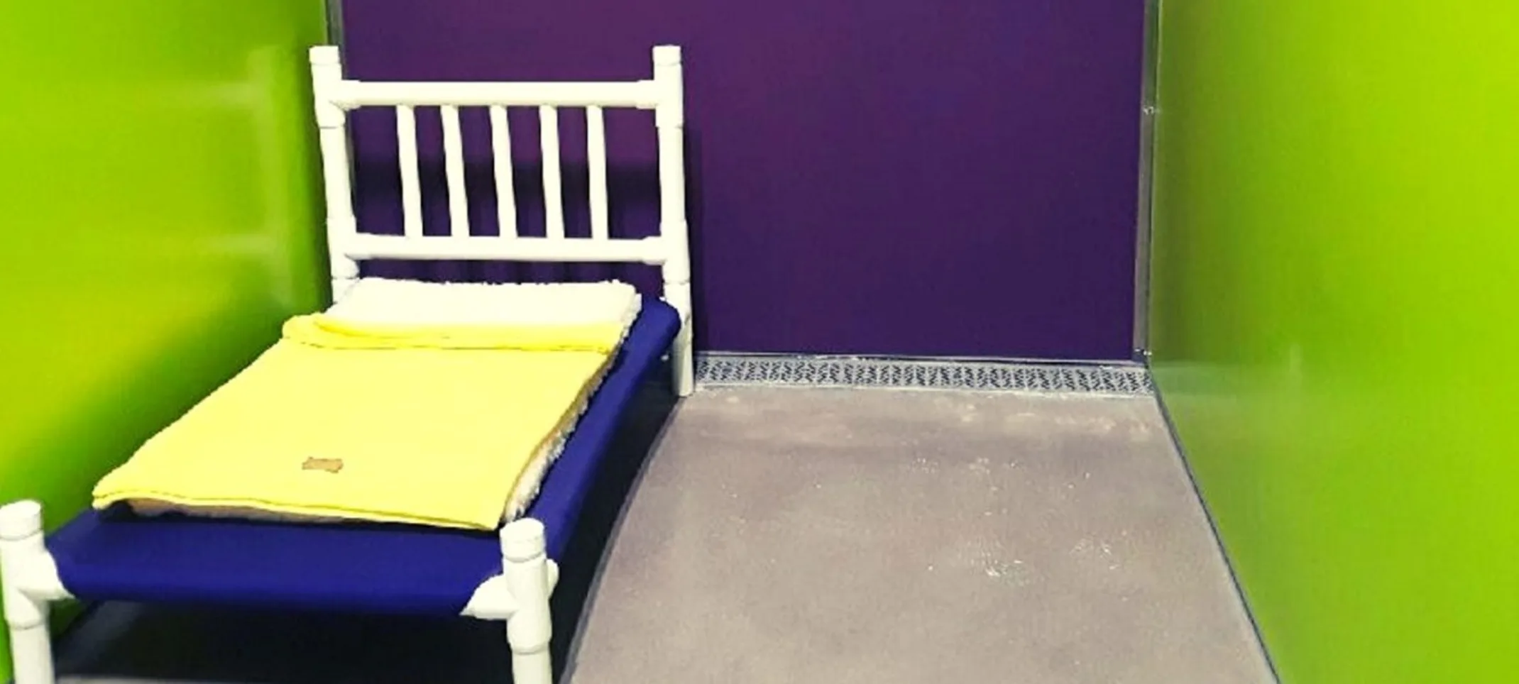 Suite with green and purple walls Suite with green and purple walls