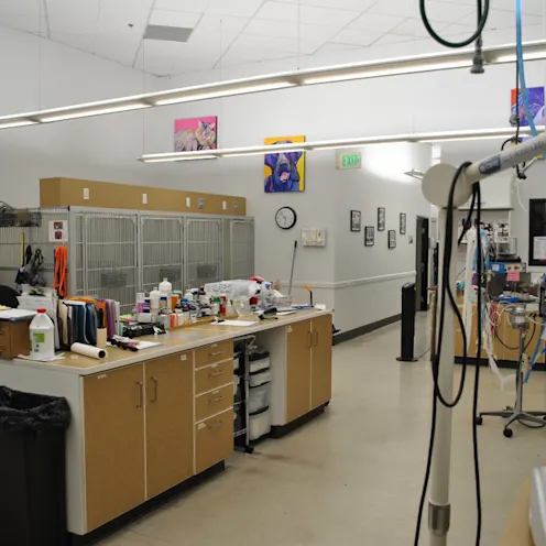 Exam room at Fresno Veterinary Specialty & Emergency Center Exam room at Fresno Veterinary Specialty & Emergency Center