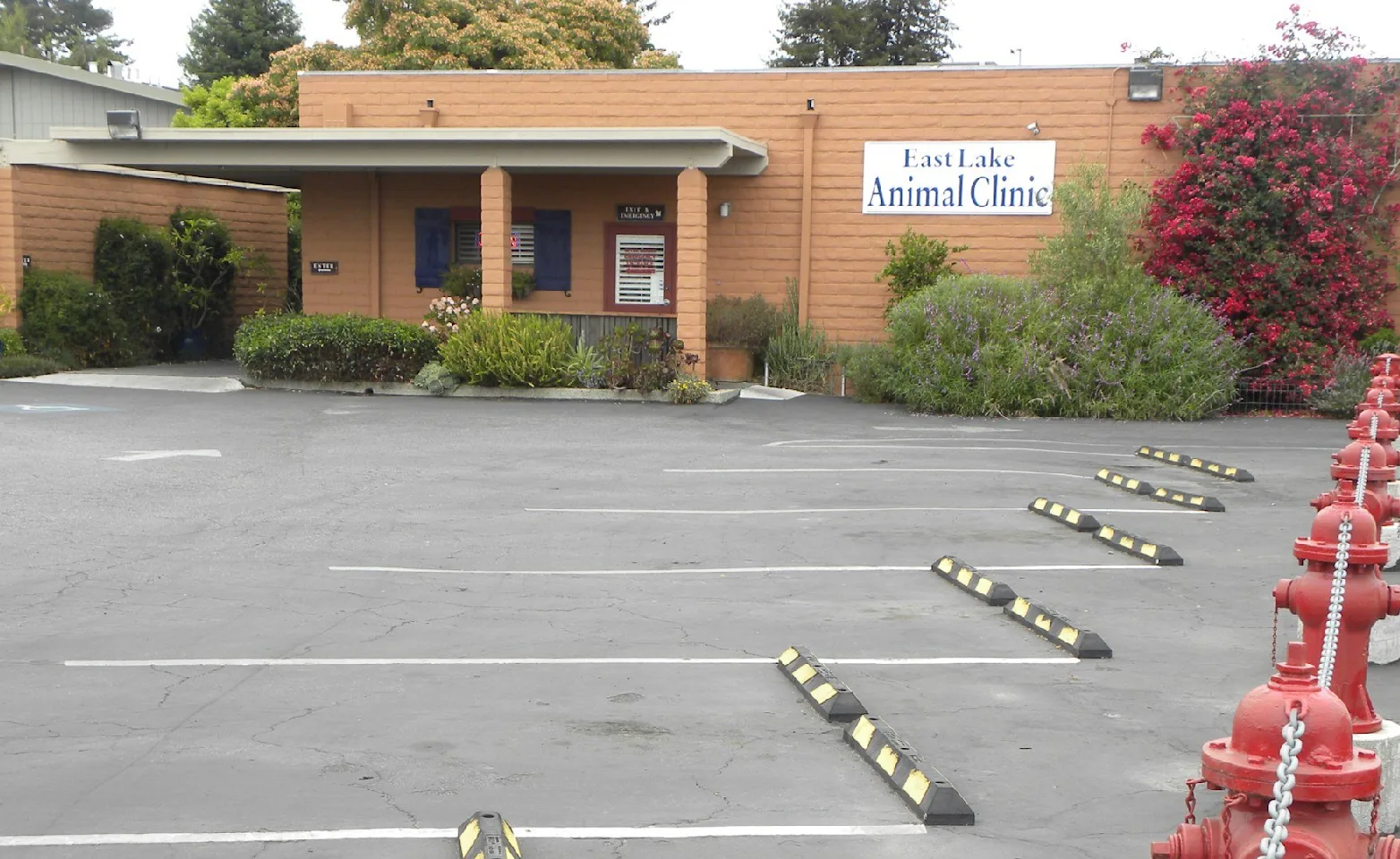 East Lake Animal Clinic's front building with their signature fire hydrant parking lot