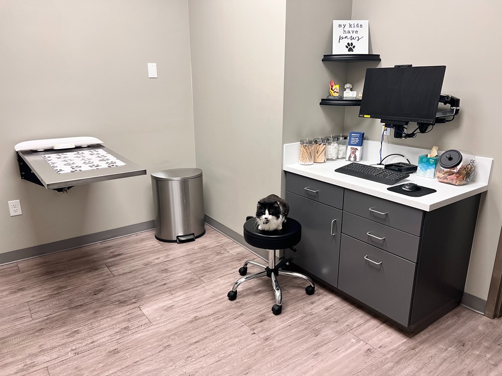 Pleasanton Veterinary Hospital Exam Room