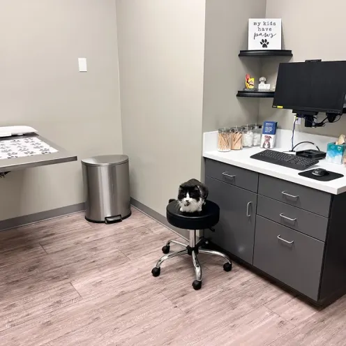 Pleasanton Veterinary Hospital Exam Room