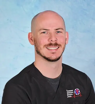 Justin Davis Justin Davis