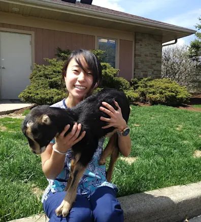 College Mall Veterinary Hospital Chika College Mall Veterinary Hospital Chika