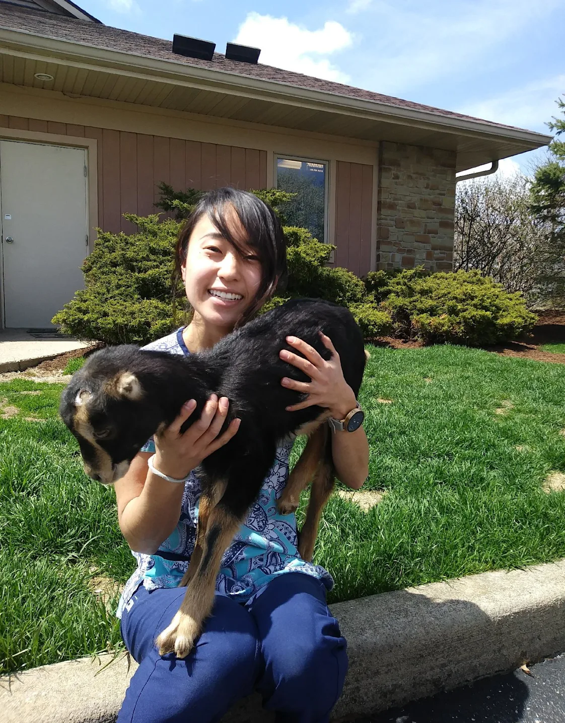 College Mall Veterinary Hospital Chika College Mall Veterinary Hospital Chika