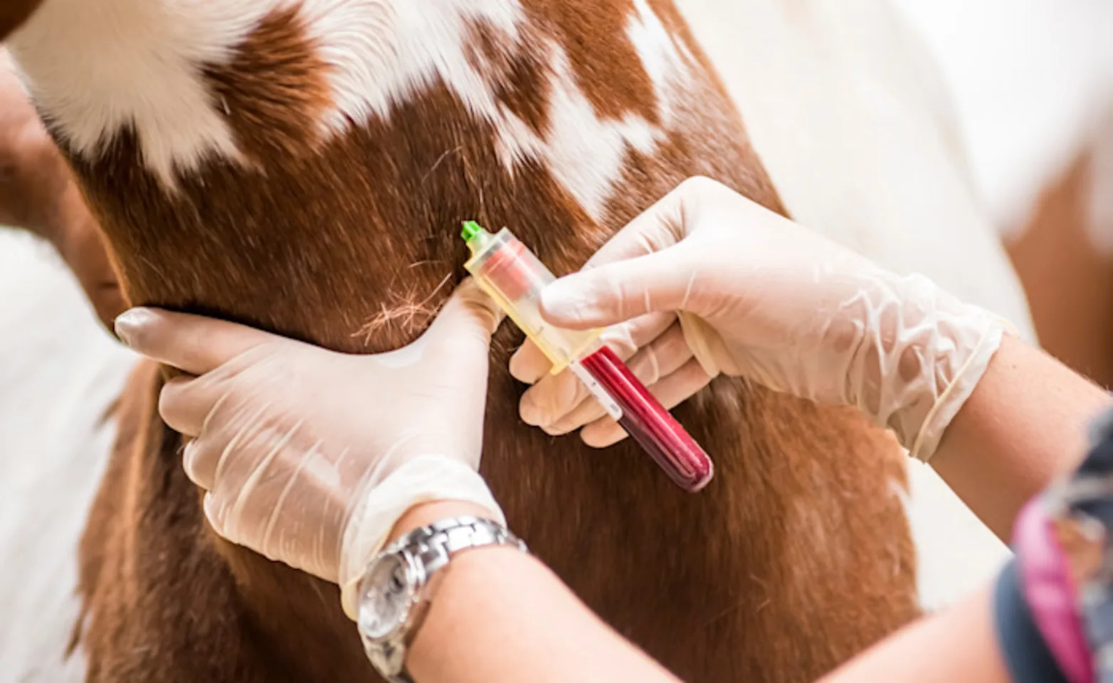 Ambulatory Ambulatory