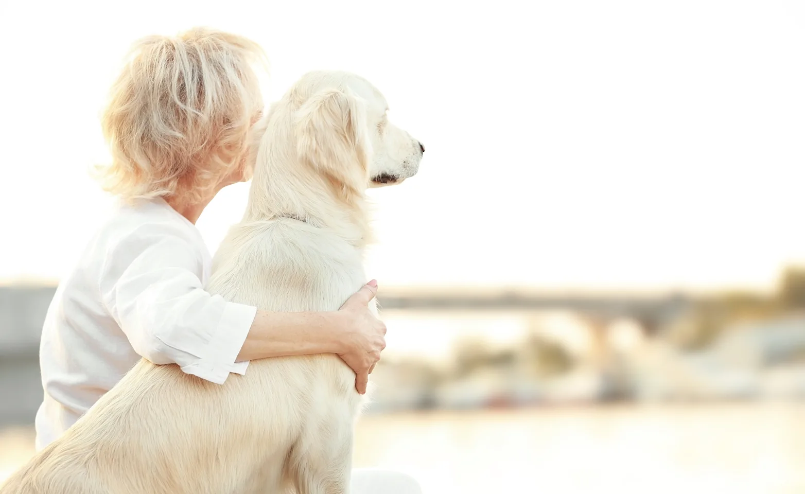 Owner holding its dog from behind Owner holding its dog from behind