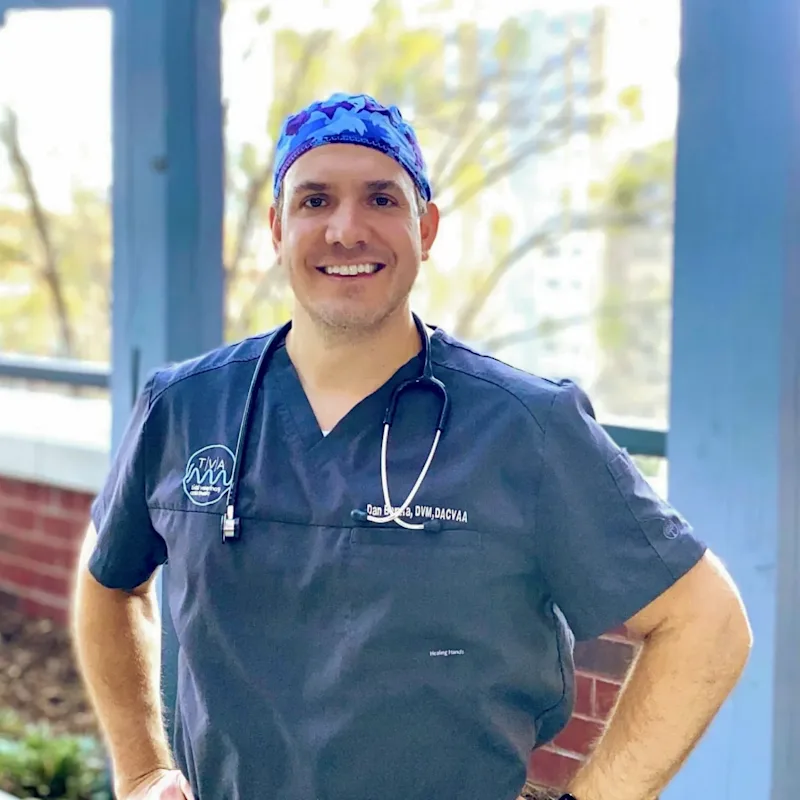 Dr. Daniel T. Boruta Dr. Daniel T. Boruta