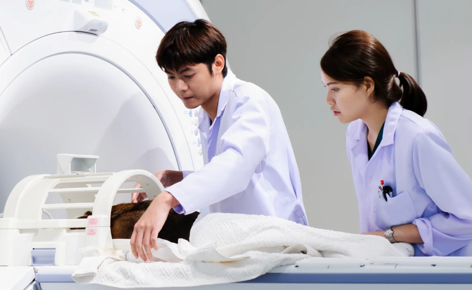 Doctors performing MRI scan on dog Doctors performing MRI scan on dog