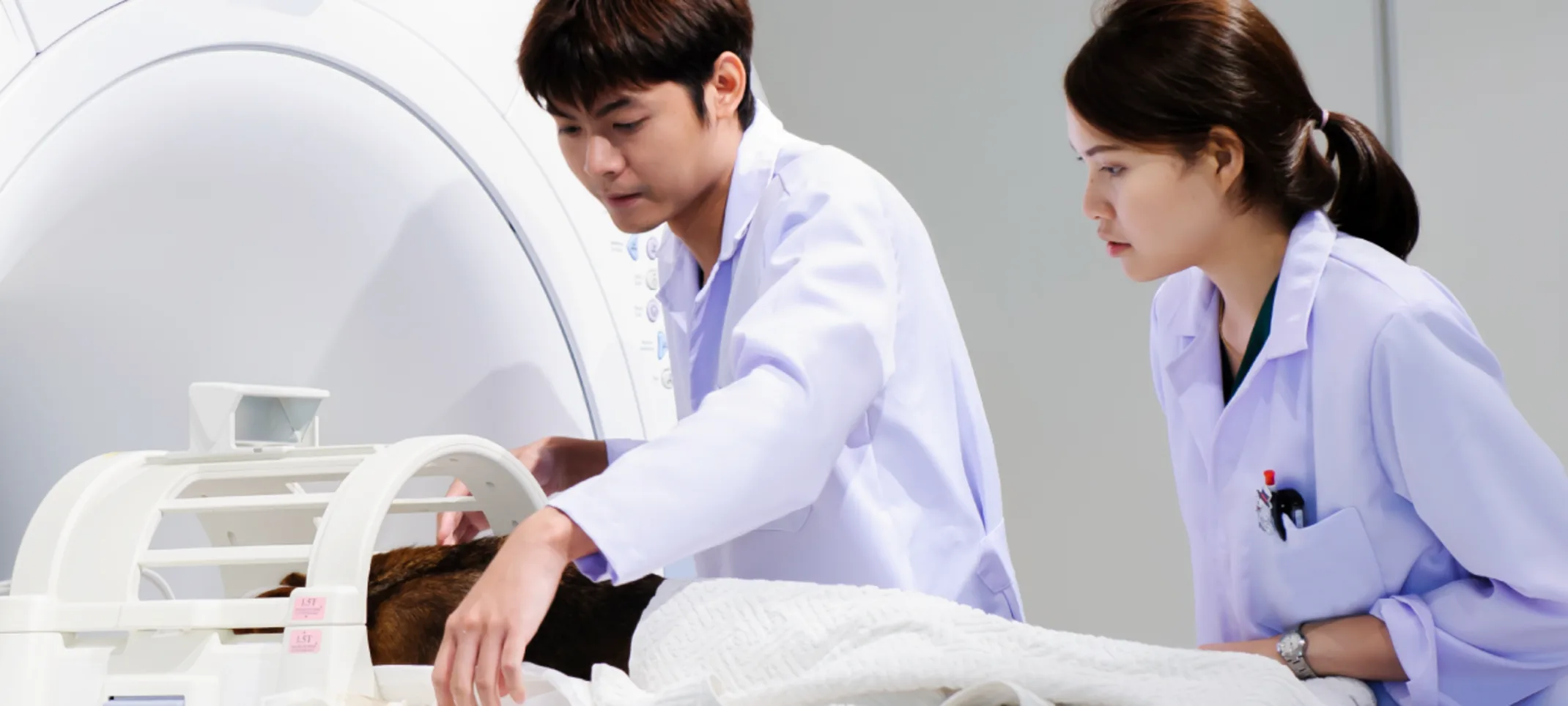 Doctors performing MRI scan on dog Doctors performing MRI scan on dog