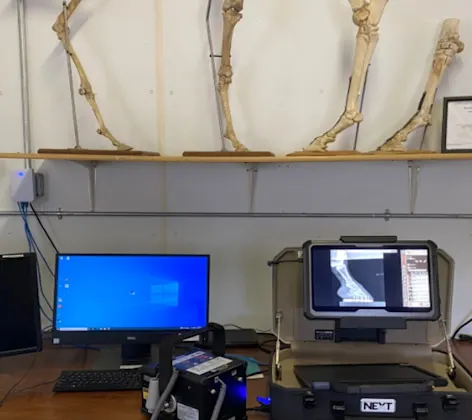 Table with radiology equipment and monitors, with a shelf of horse bone models above Table with radiology equipment and monitors, with a shelf of horse bone models above