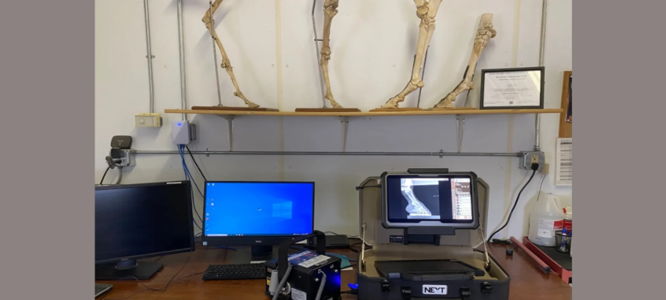 Table with radiology equipment and monitors, with a shelf of horse bone models above Table with radiology equipment and monitors, with a shelf of horse bone models above