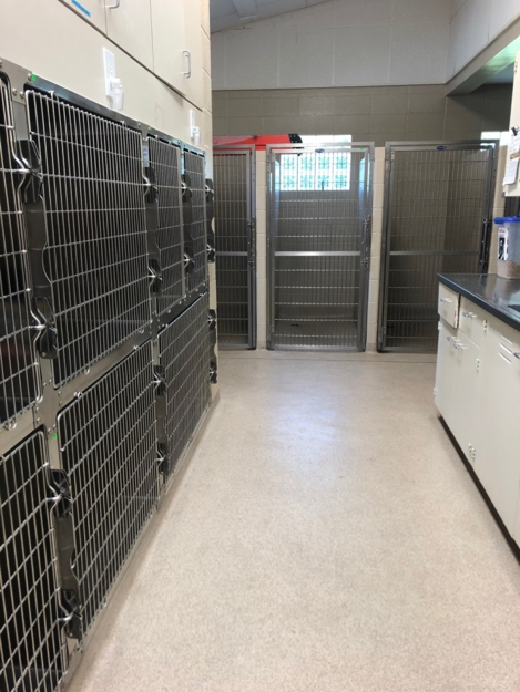 Kennels at Niles Veterinary Clinic