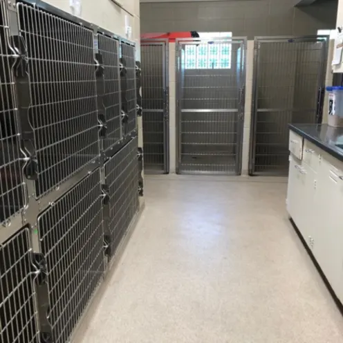 Kennels at Niles Veterinary Clinic