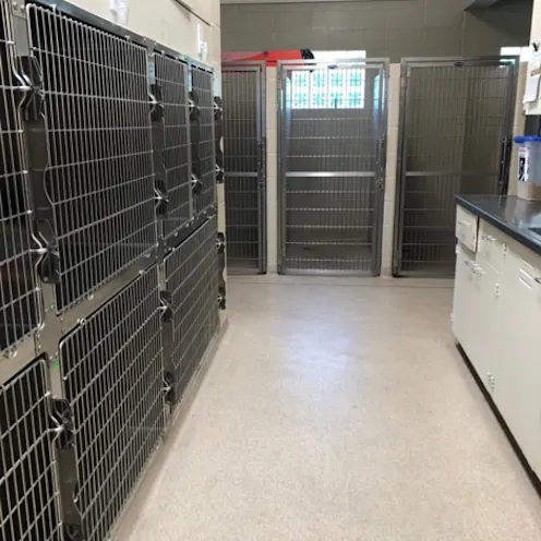 Kennels at Niles Veterinary Clinic Kennels at Niles Veterinary Clinic