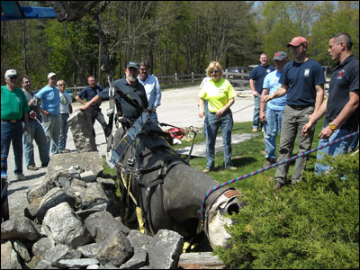 Equine Rescue training pulling horse up