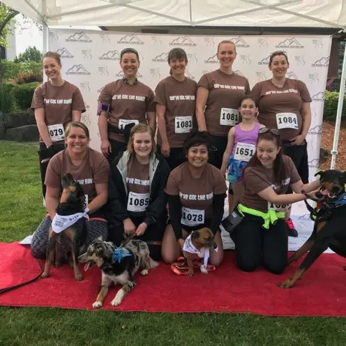Staff wearing matching brown shirts at a running events with dogs
