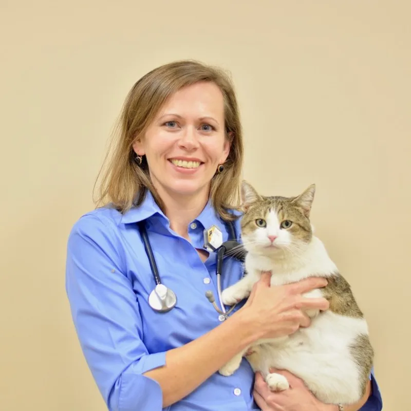 Rebecca McAlonis Rebecca McAlonis