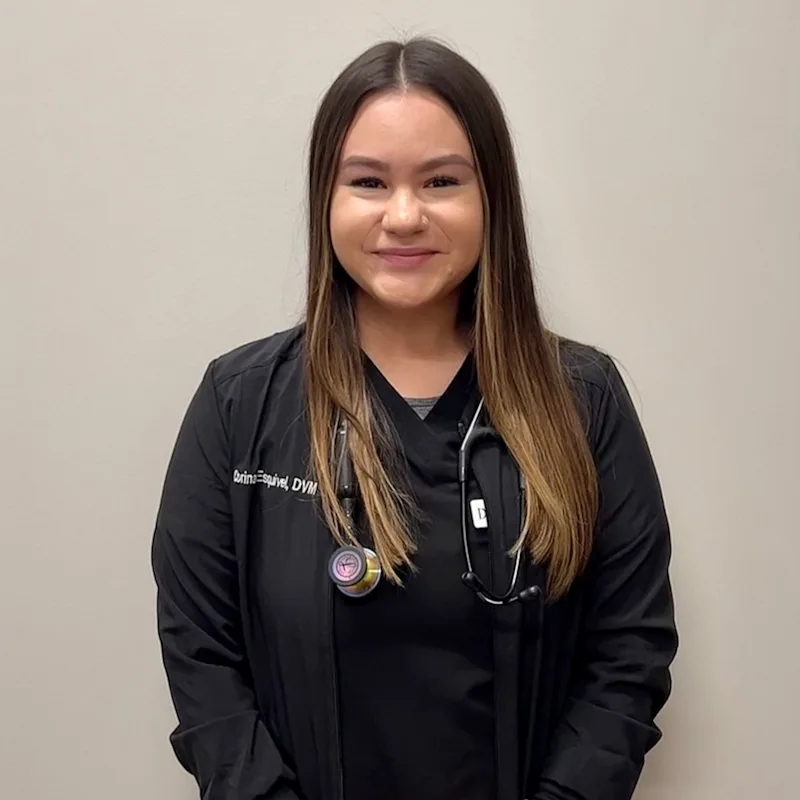 New Staff Member New Staff Member