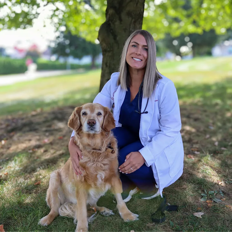 pencil puppy pencil puppy