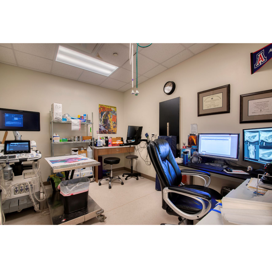 Radiology Room at VetMed Emergency & Specialty Veterinary Hospital