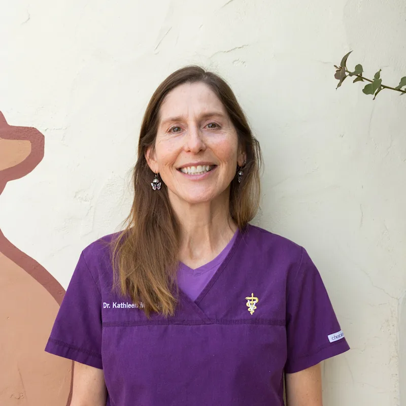 Dr. Kathleen McFarlin Dr. Kathleen McFarlin