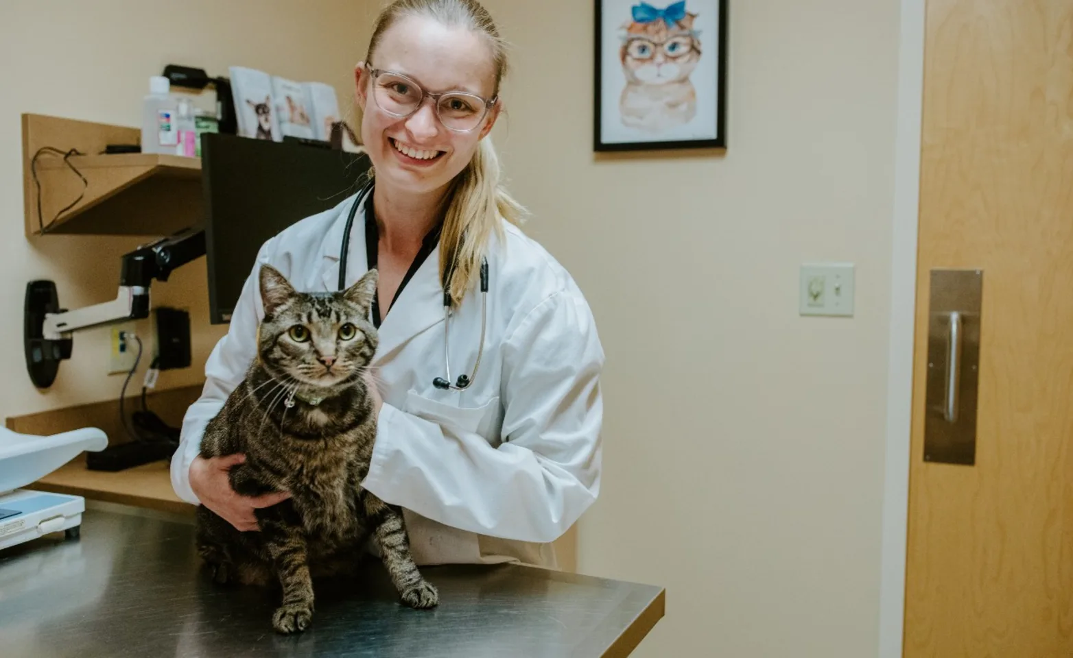 Vet with cat at North Creek Pet Hospital