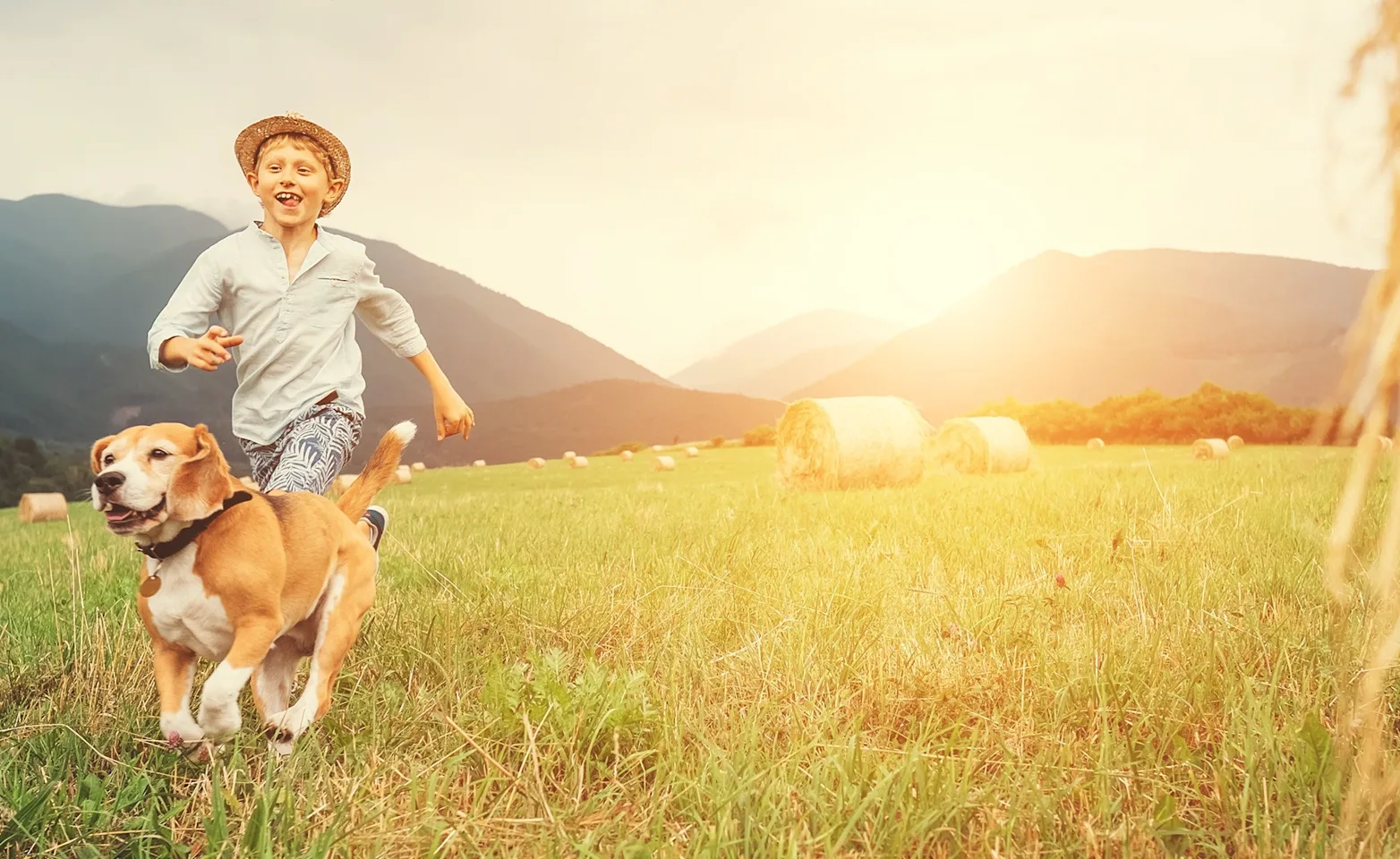 dog and boy running in open field 