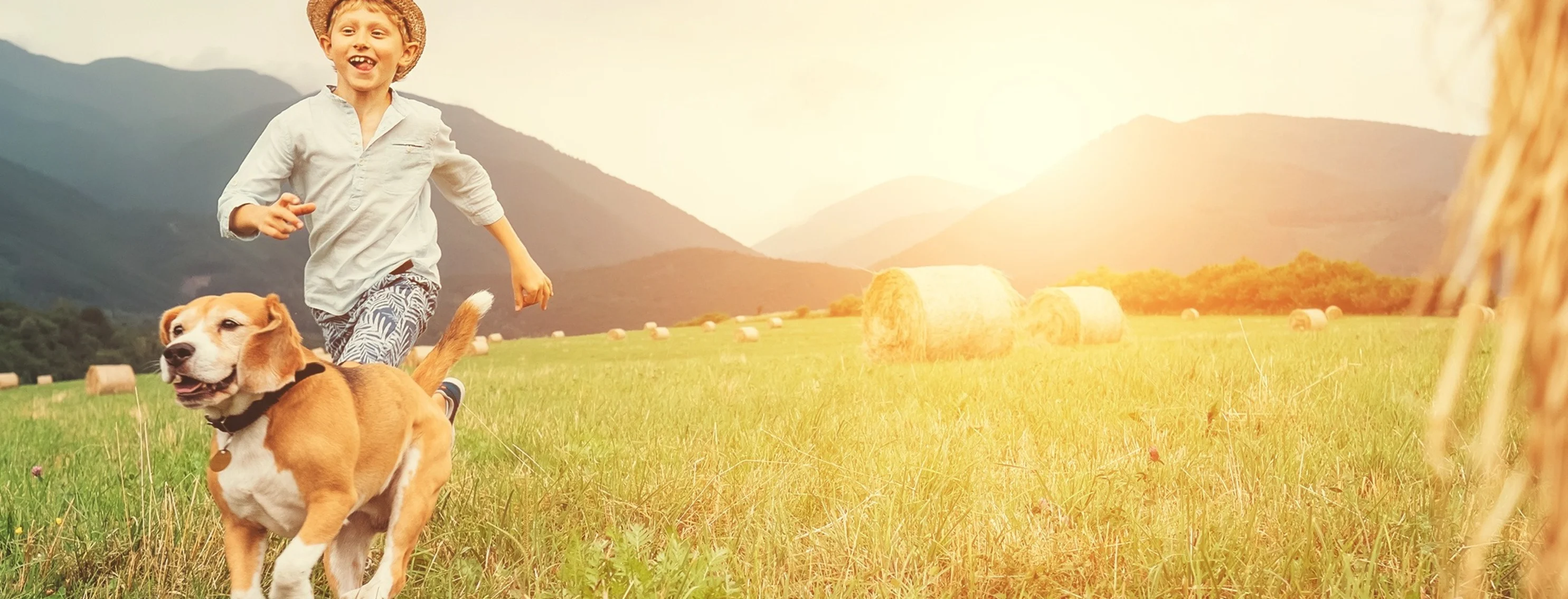 dog and boy running in open field 