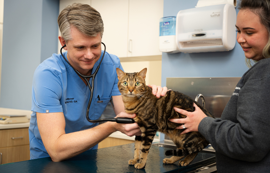 Dr. Moser with cat