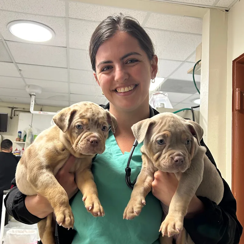 Dr. Moriah Fountain Dr. Moriah Fountain