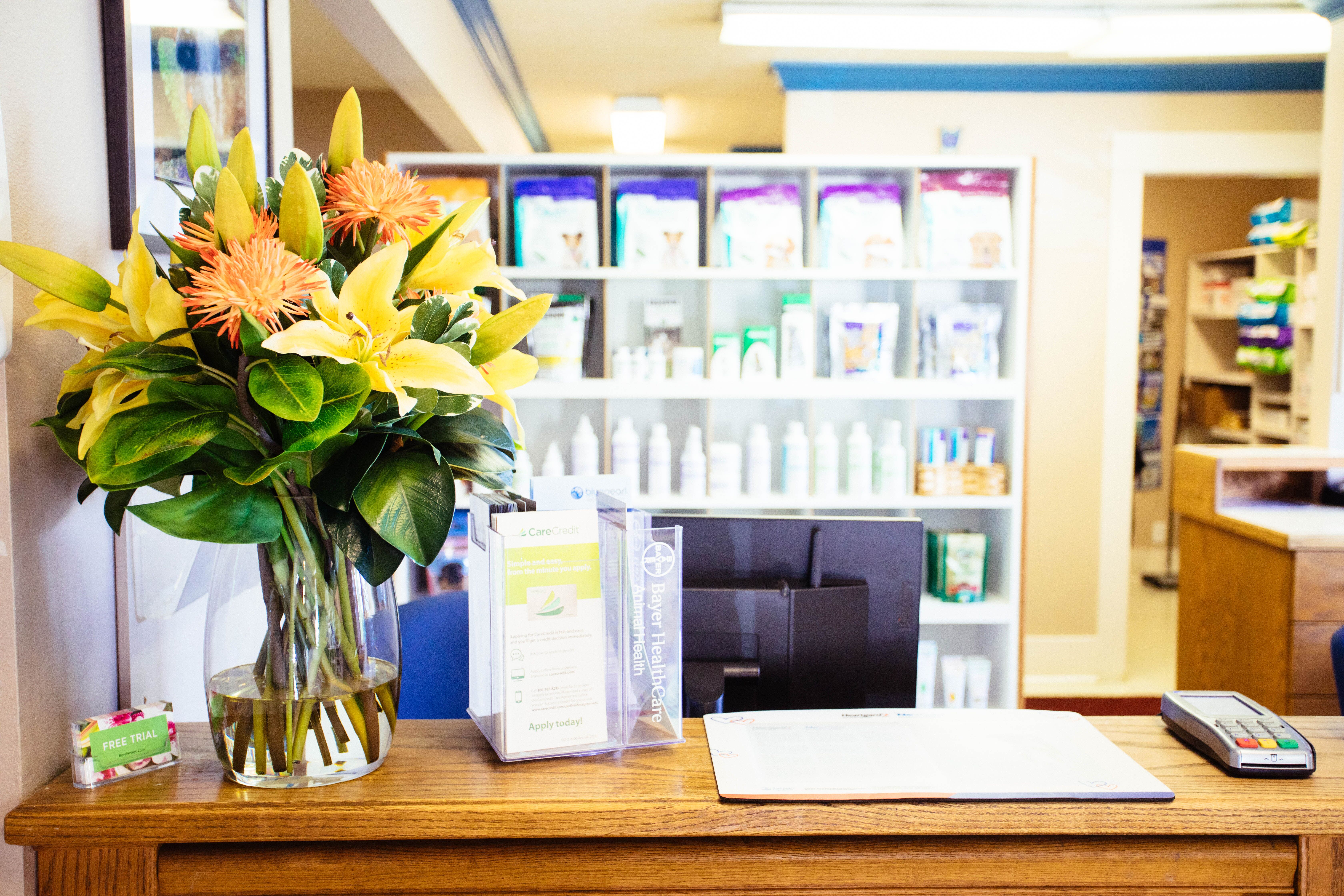 Reception desk at North End Pet Hospital