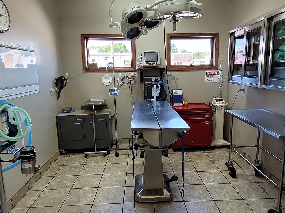 Kimberly Pines Veterinary Hospital Surgery