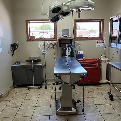 Kimberly Pines Veterinary Hospital Surgery