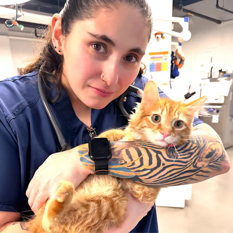 Jessica Saleh Jessica Saleh