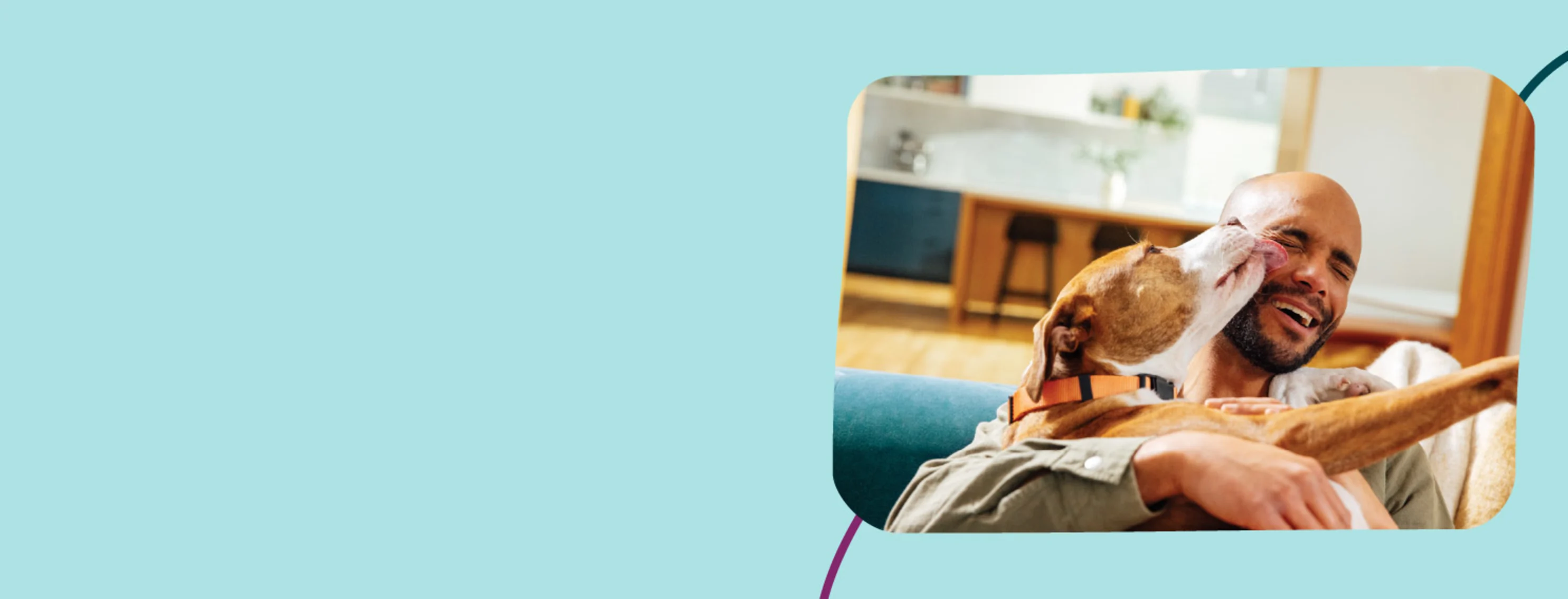 A dog sitting and licking its owner's face in excitement A dog sitting and licking its owner's face in excitement