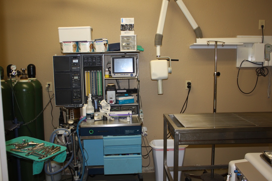 Westridge Animal Hospital Operation Equipment