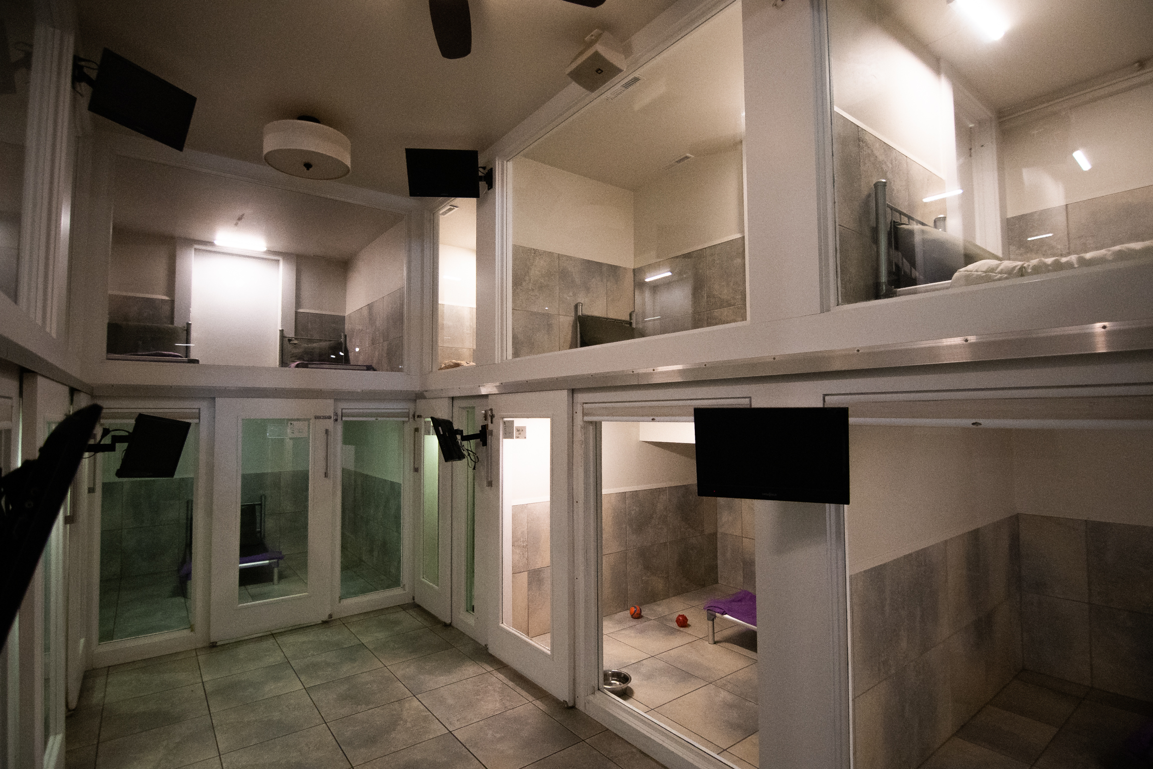 Breed Above Boarding Room Hallway