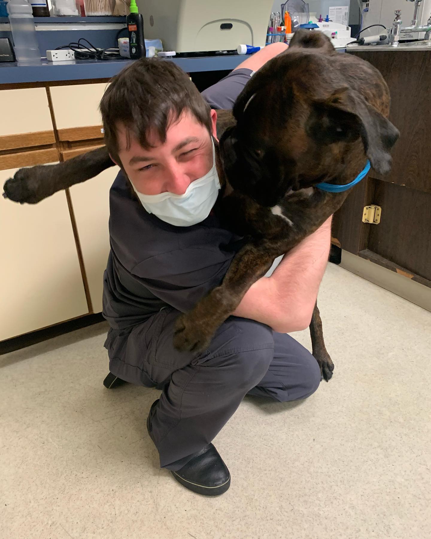 Tony and Mastiff at Strawbridge Animal Care