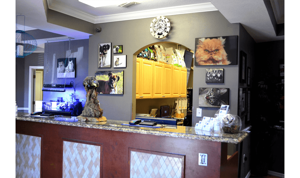 Critical Care/Surgical Center - Front Desk Reception