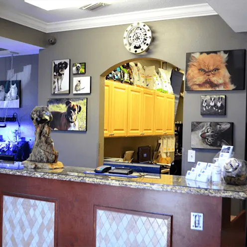 Critical Care/Surgical Center - Front Desk Reception Critical Care/Surgical Center - Front Desk Reception