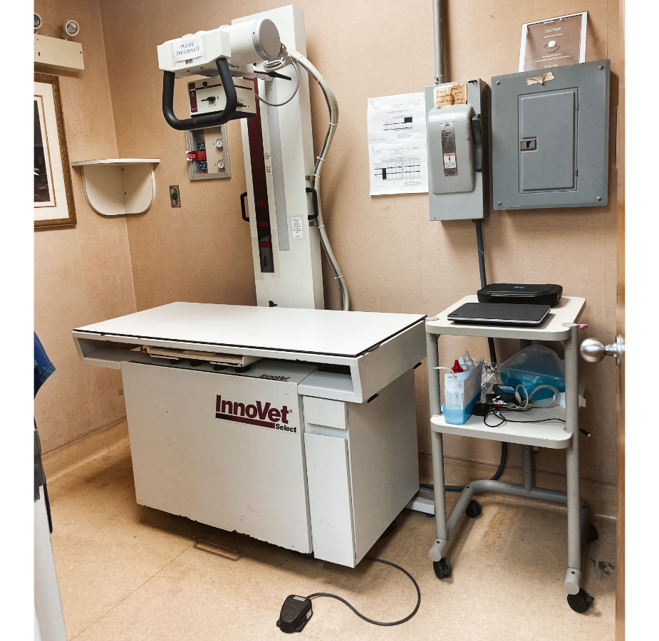 Radiology at Eastern Shore Animal Hospital