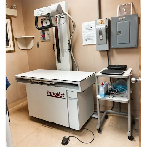 Radiology at Eastern Shore Animal Hospital Radiology at Eastern Shore Animal Hospital