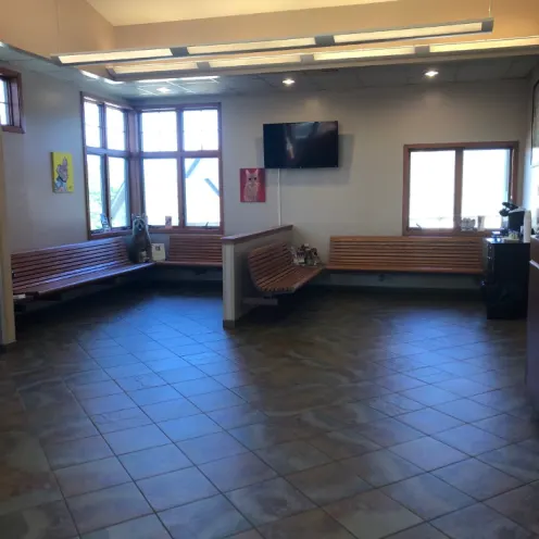 Waiting Room area at Niles Veterinary Clinic.