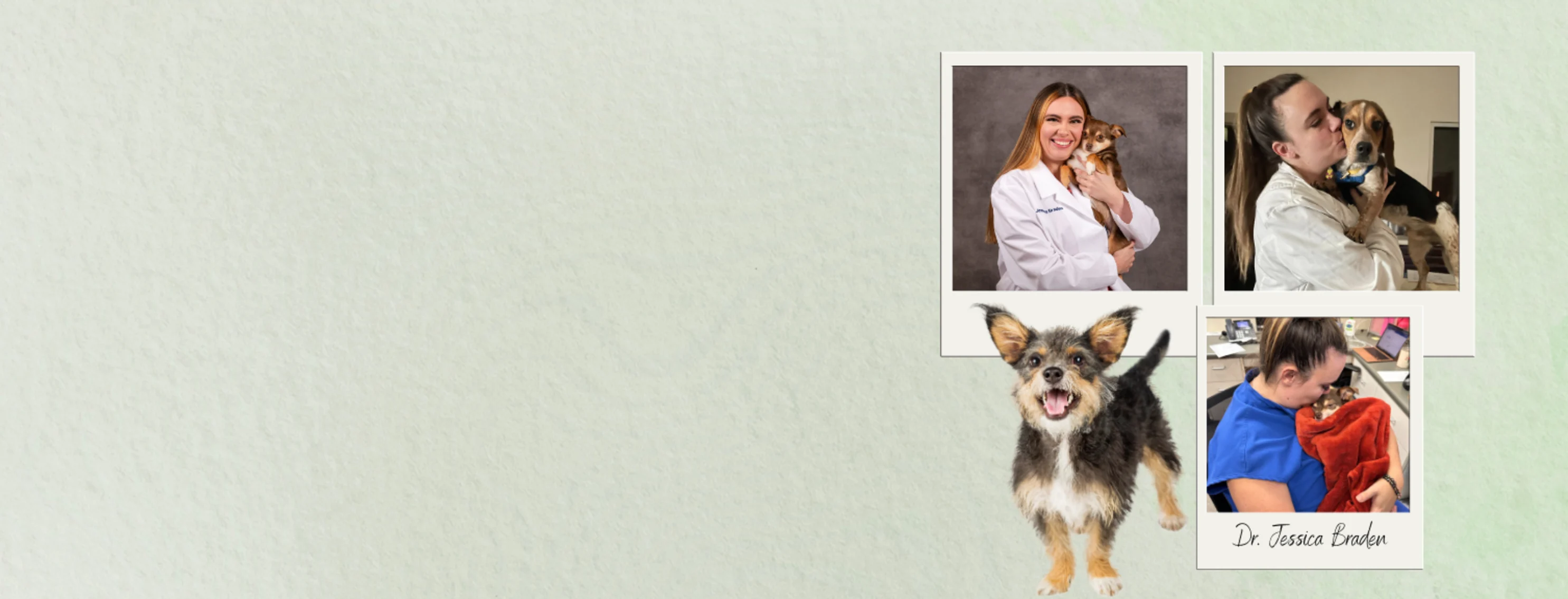 Welcome Dr. Jessica Braden! Welcome Dr. Jessica Braden!