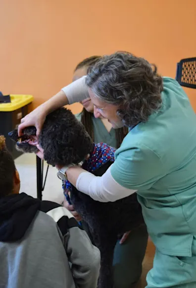 Dr. Grandm showing kids the teeth of a black dog Dr. Grandm showing kids the teeth of a black dog