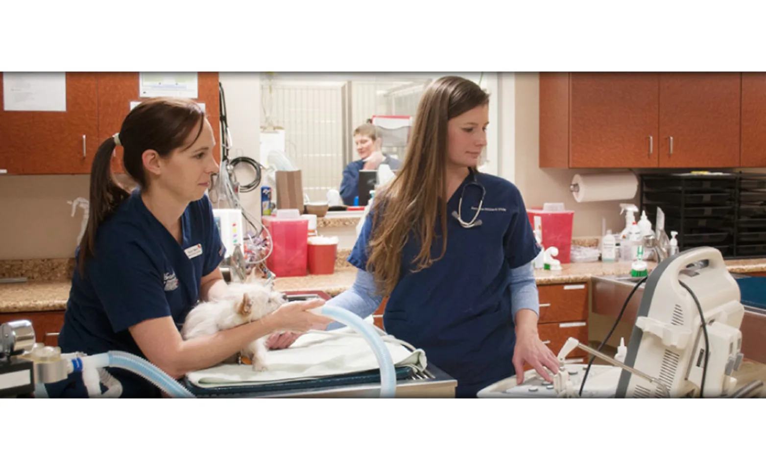 Is It An Emergency Breathing Machine at Northeast Indiana Veterinary Emergency & Specialty Hospital Is It An Emergency Breathing Machine at Northeast Indiana Veterinary Emergency & Specialty Hospital