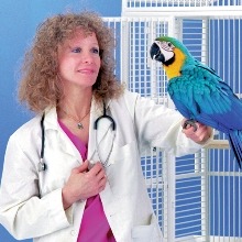 Bird & exotics sales veterinarian