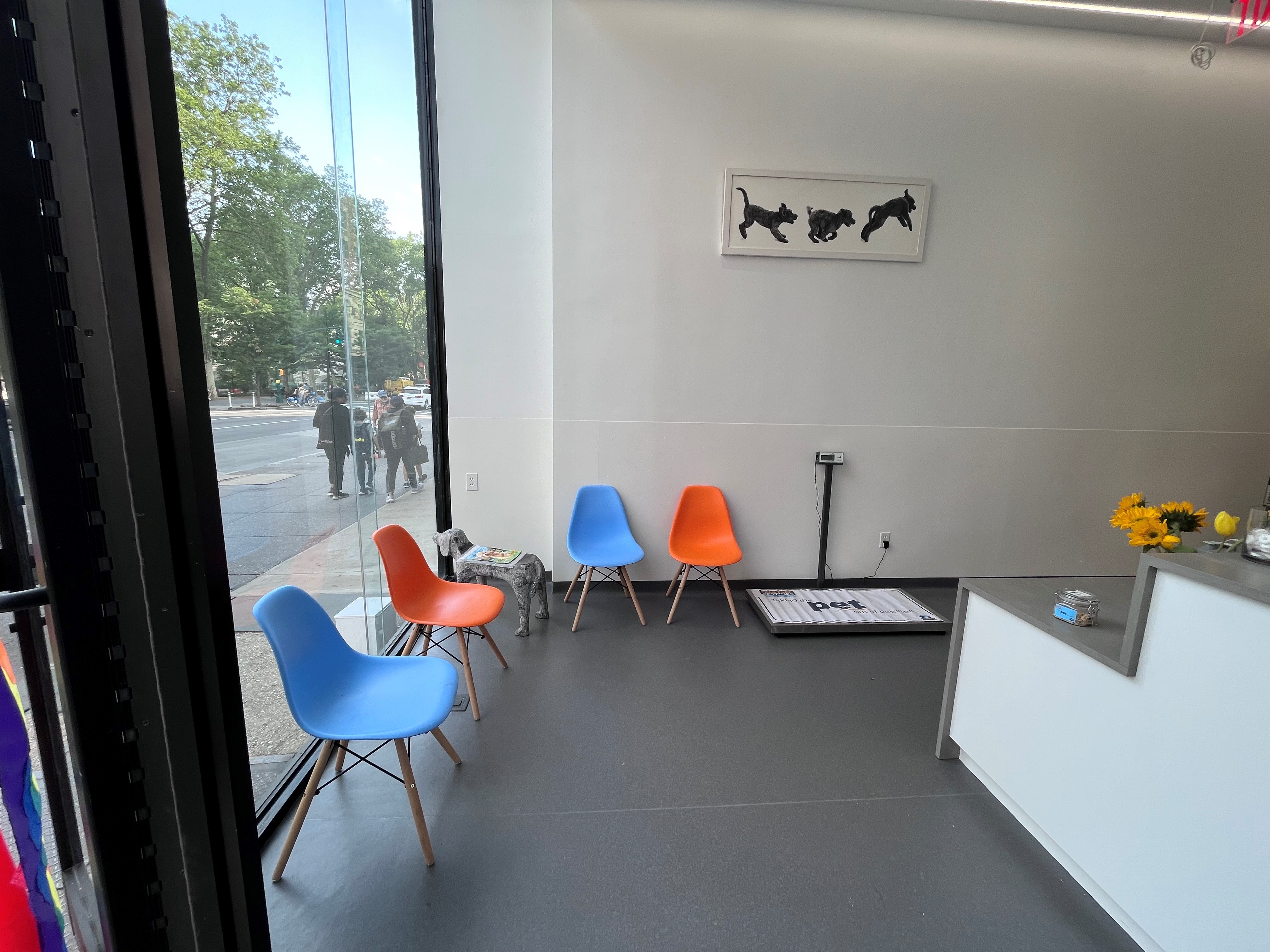 Riverside Veterinary Care of Columbus's Lobby Area which someone can sit down and wait for a assistant to help 