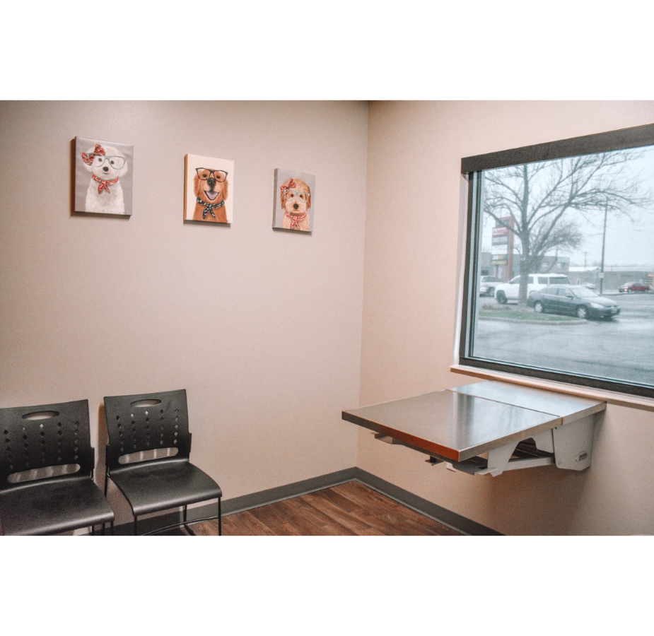 All City Pet Care South and ER Exam Room